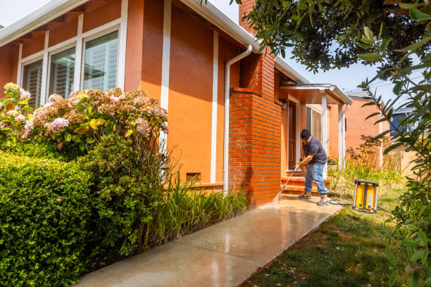 Best Roof Pressure Washing  in Beloit, WI
